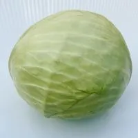 Капуста белокочанная